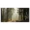 Designart - Dark Green Forest with Sun Rays - Landscape Photography Canvas Print